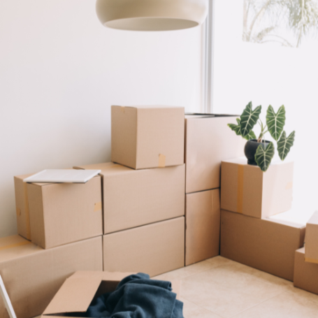 Tenant Move-Out